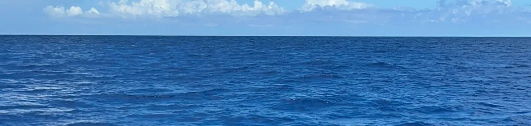 Navigating Change in the Age of Modernization: Leaning In (Part 4 of 4)